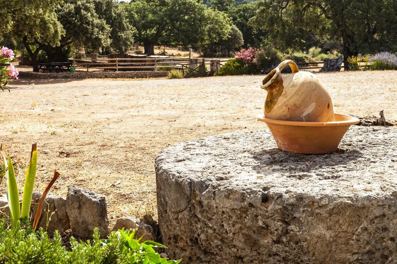 Algaba De Ronda Pensionat Lantställe