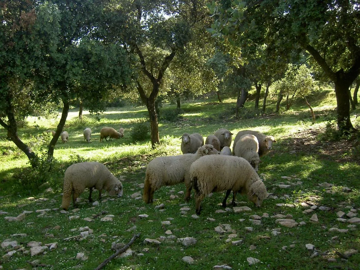 Algaba De Ronda Pensionat 0*,